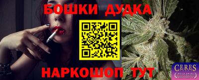 бошки Будённовск