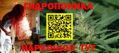 бошки Будённовск