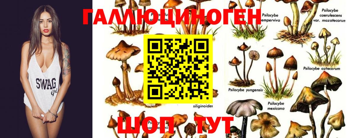 Псилоцибиновые грибы MAGIC MUSHROOMS  купить наркотик  Минеральные Воды  Вход с VPN 